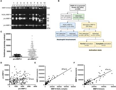 Proteoform Analysis of Matrix Metalloproteinase-9/Gelatinase B and Discovery of Its Citrullination in Rheumatoid Arthritis Synovial Fluids